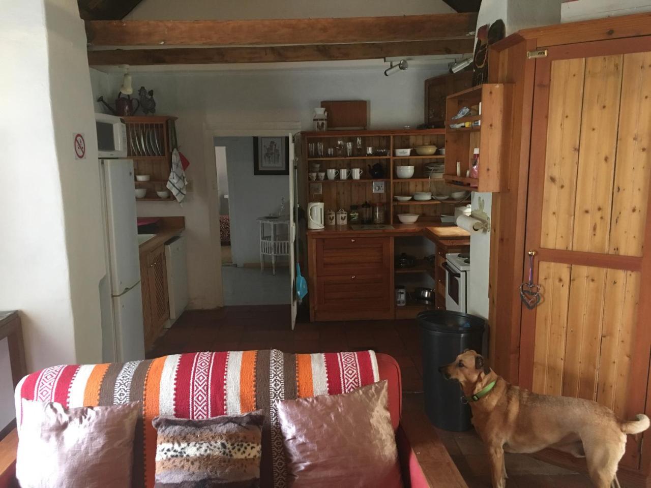 Carneddie Cottage - Main ブレダスドルプ エクステリア 写真